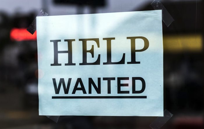 Article Image for Employment Opportunities In High Demand Worldwide