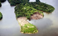 Exploring the Amazon Rainforest A True Adventure Experience