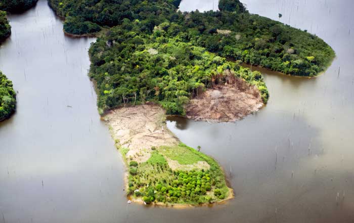 Exploring the Amazon Rainforest A True Adventure Experience