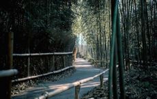 Guide to Outdoor Adventure Travel in Japan