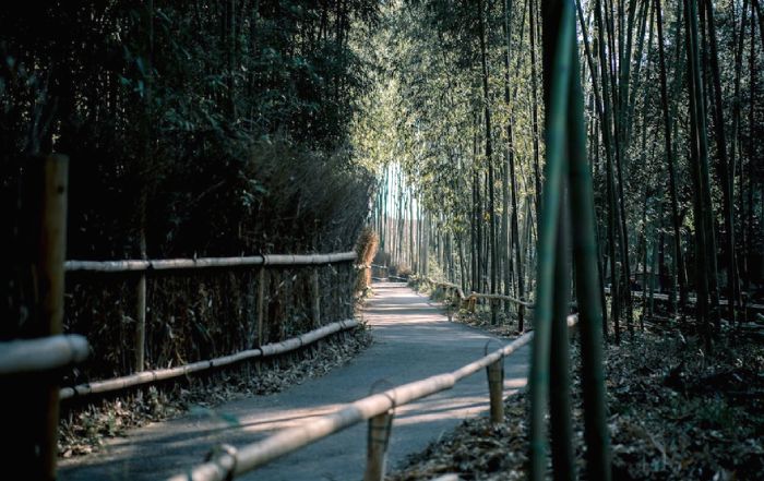 Guide to Outdoor Adventure Travel in Japan