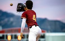 Article Image for Rejections and Resilience: The Untold Path to Professional Sports