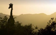 The Top Adventure Destinations in Africa