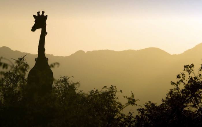 The Top Adventure Destinations in Africa